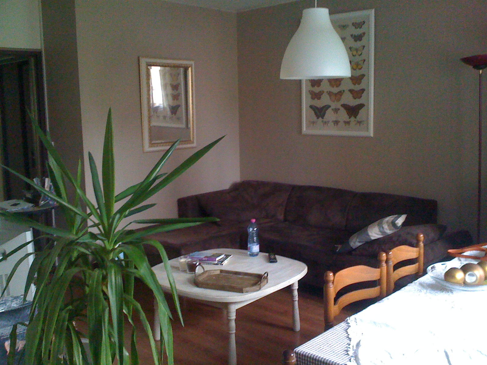 Homestay Tarbes 66656