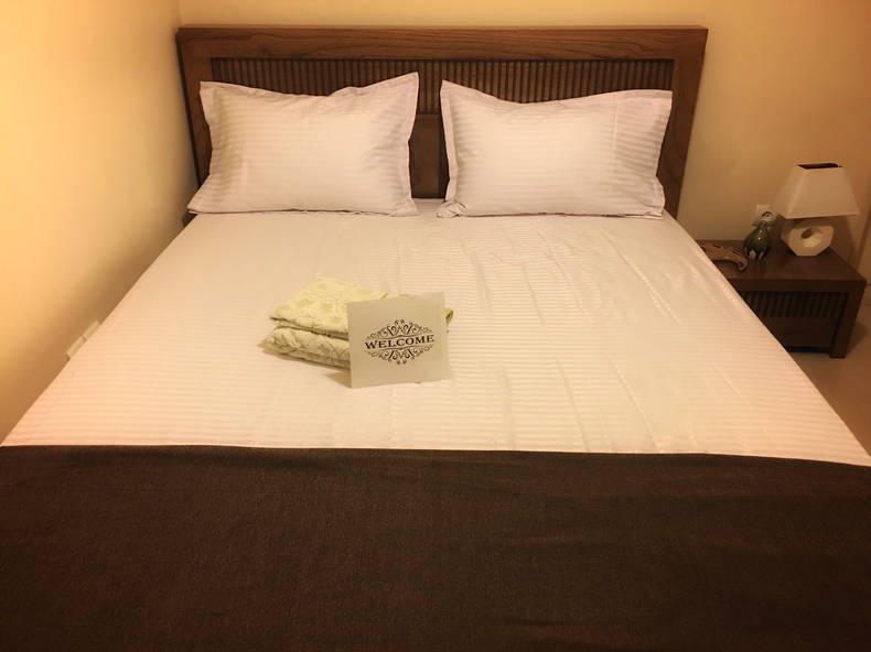 Chambre Chez L'habitant Tehran 230832-1