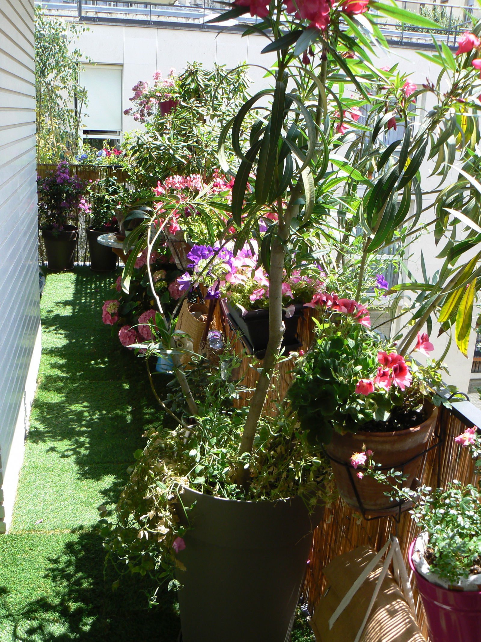 Homestay Paris 103676