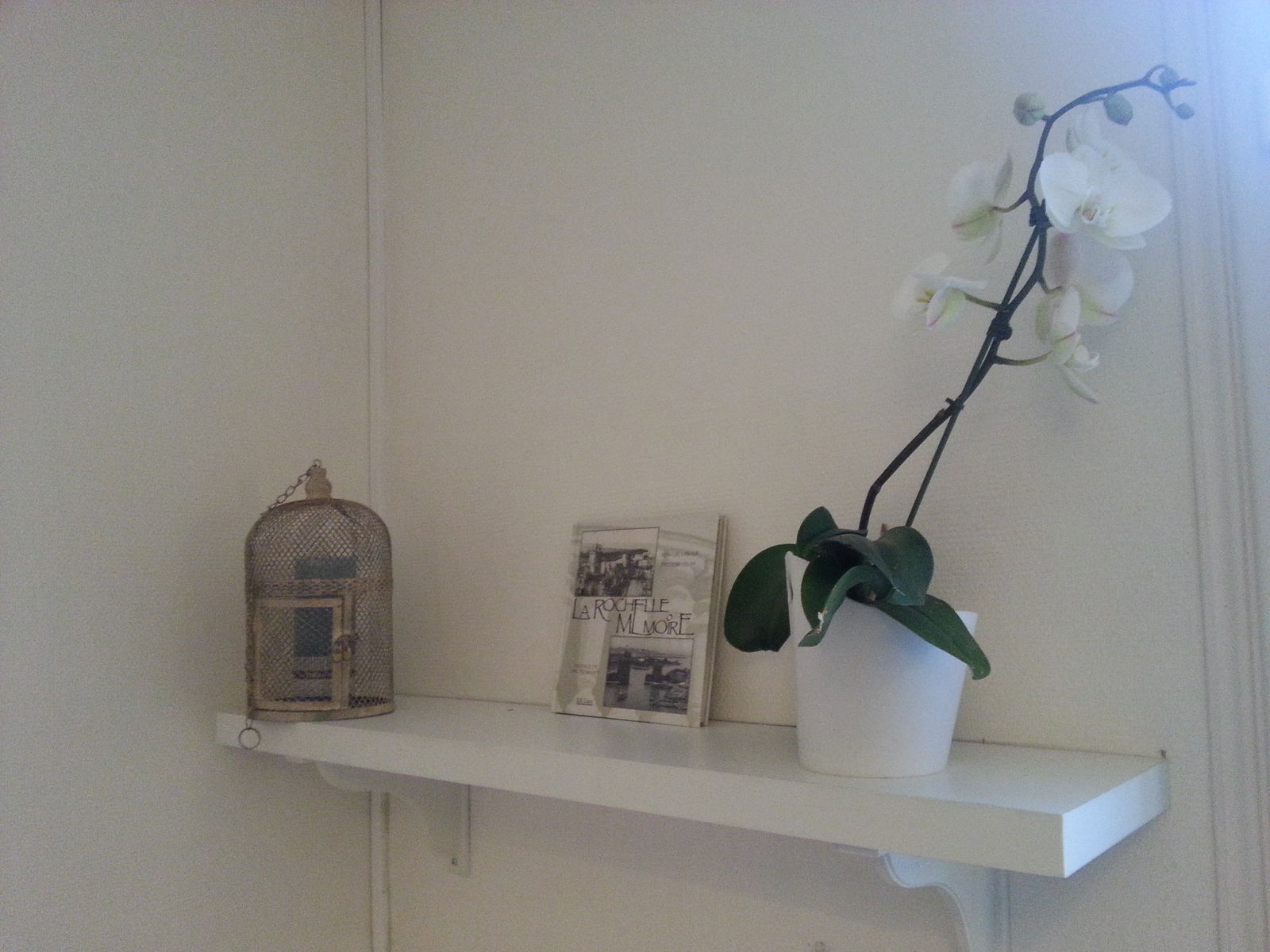 Homestay La Rochelle 76248