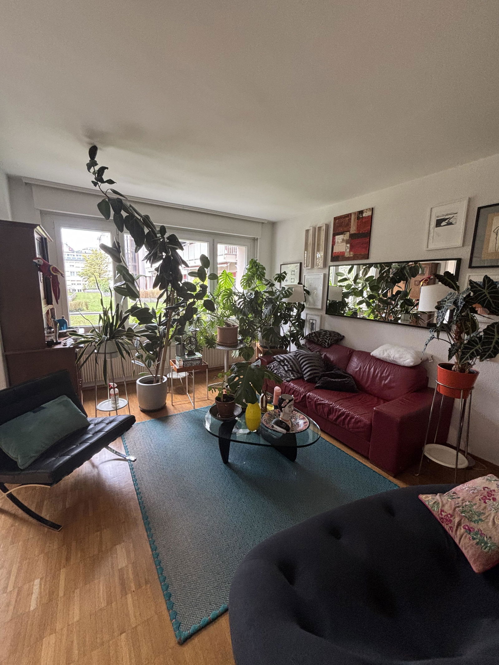 Colocation Lausanne 660253