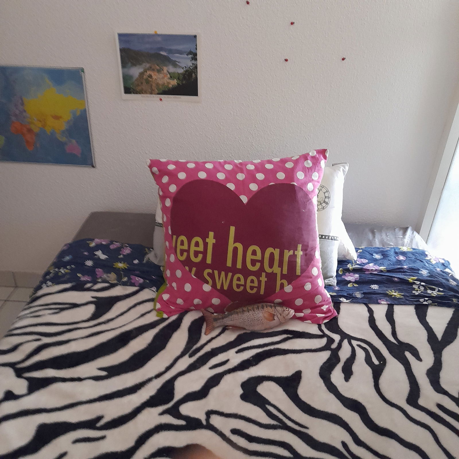 Homestay Perpignan 367897