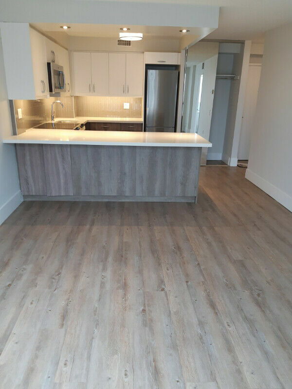 Homestay Toronto 245226