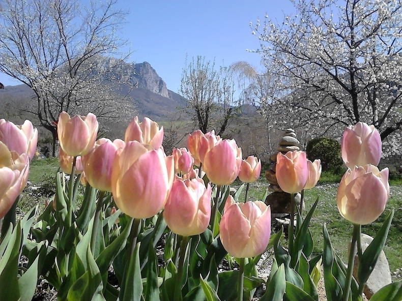 Zakwaterowanie U Rodziny Bugarach 104314-2