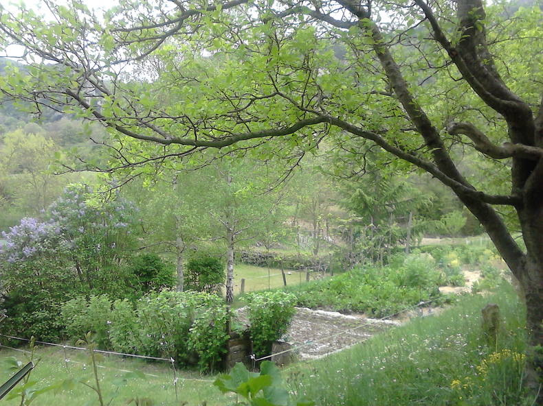 Zakwaterowanie U Rodziny Bugarach 104314-3