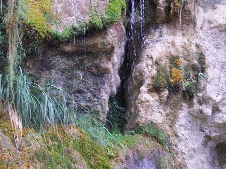 Zakwaterowanie U Rodziny Bugarach 104314-4