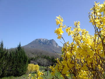 Chambre Chez L'habitant Bugarach 104314-5