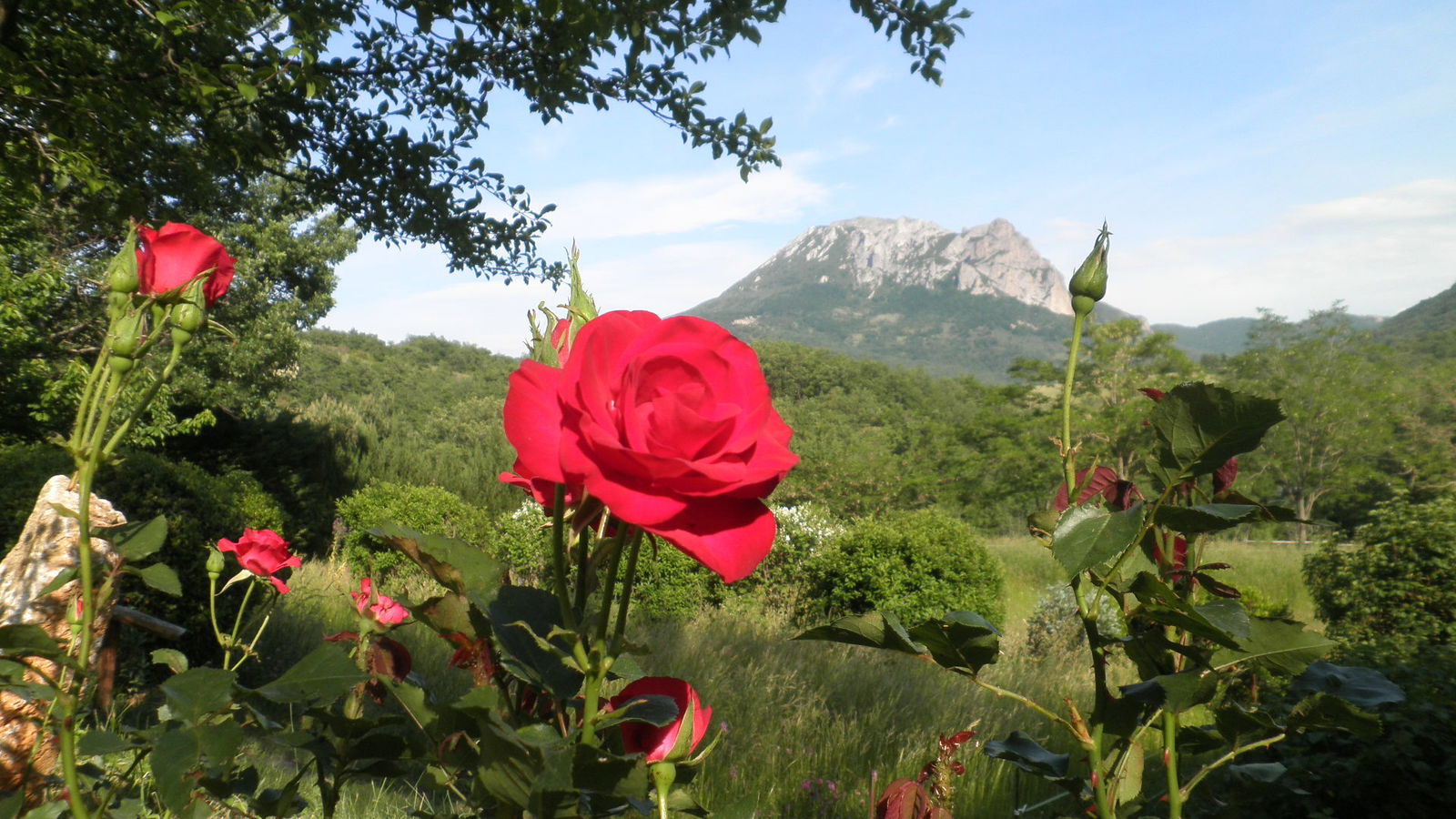 Homestay Bugarach 104314
