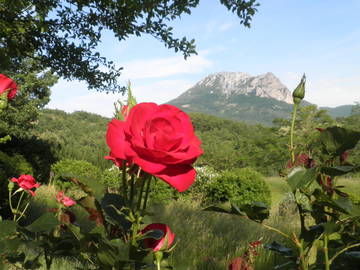 Chambre Chez L'habitant Bugarach 104314-6