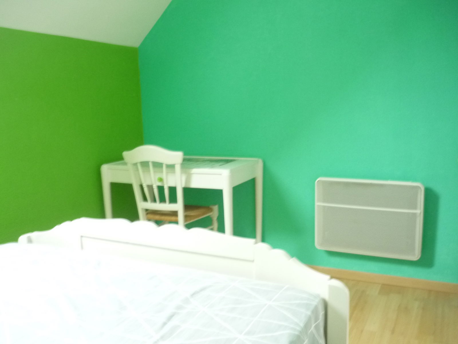 Homestay Selles-sur-Cher 242376