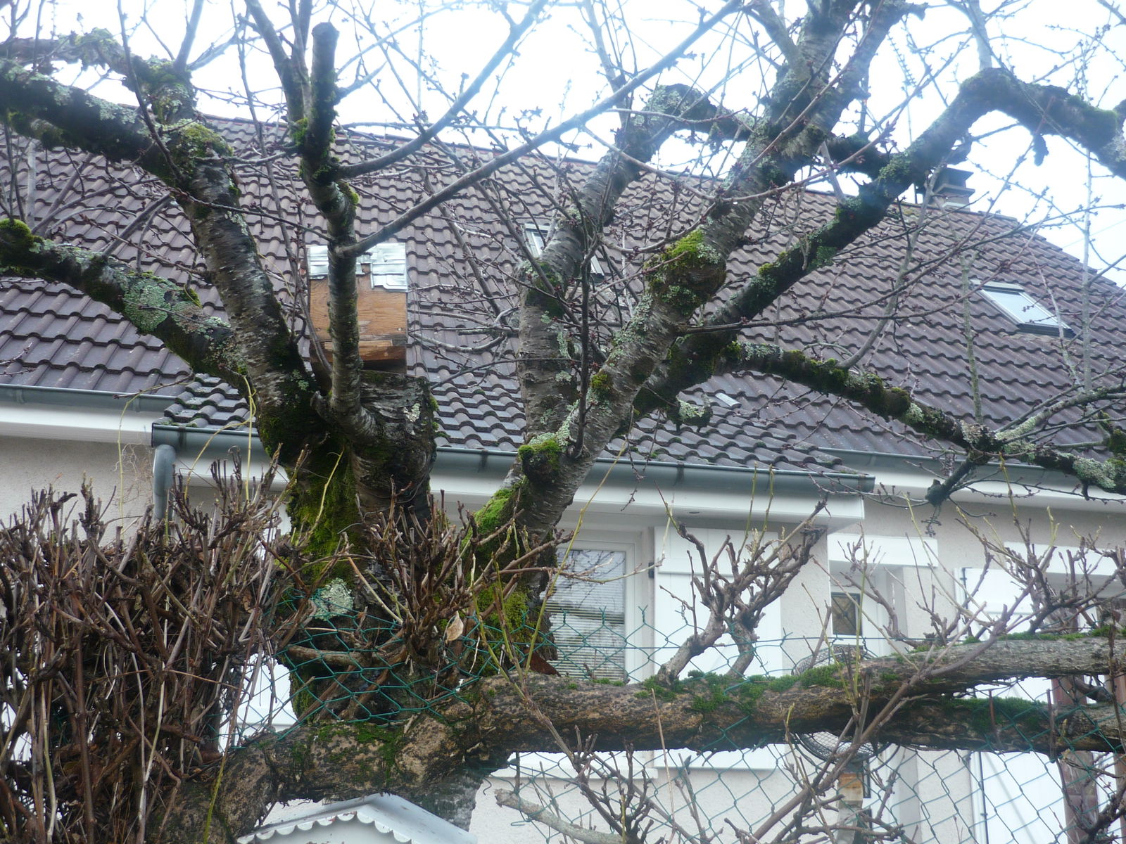 Homestay Selles-sur-Cher 242376