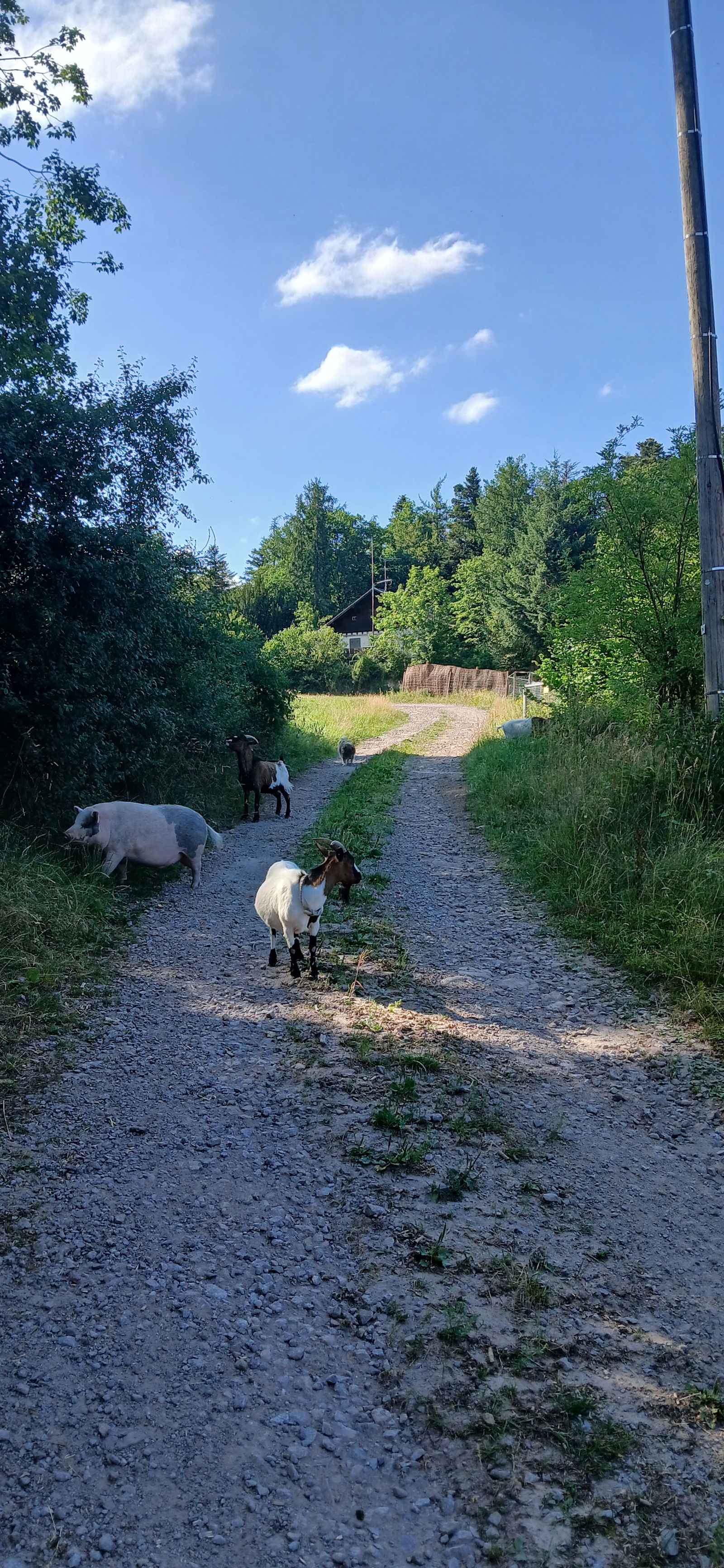 Homestay Breitenbach-Haut-Rhin 473548