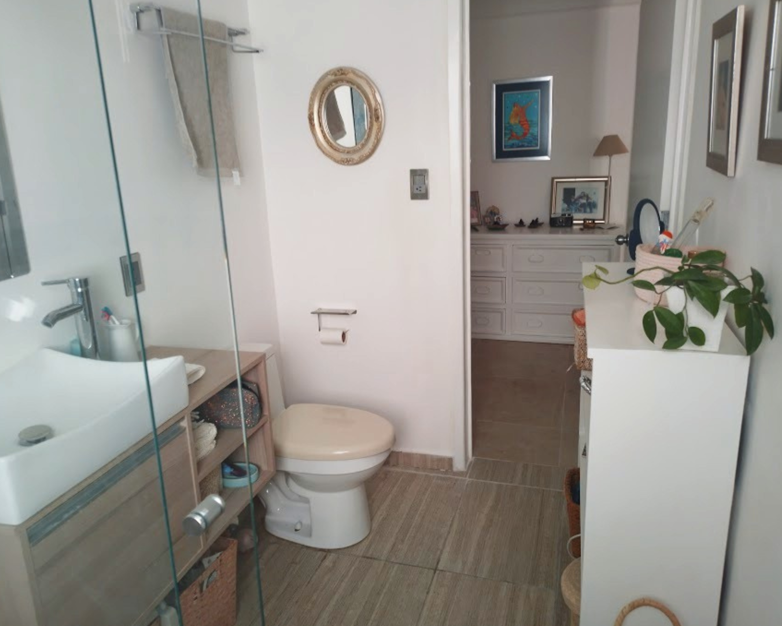 Homestay México D.F. 265592