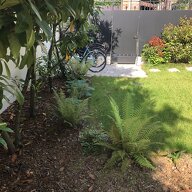 Homestay Bois-Colombes 480670
