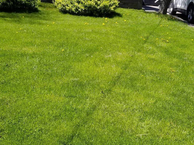 Colocation Toronto 248404-1