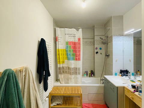 Colocatie Toulouse 393780-5