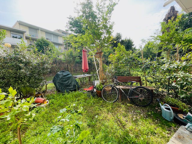 Colocation Toulouse 393780