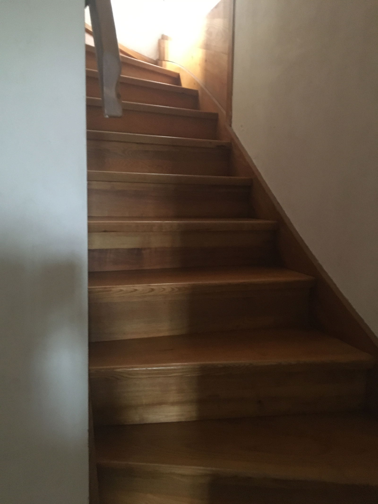 Homestay Versailles 239821