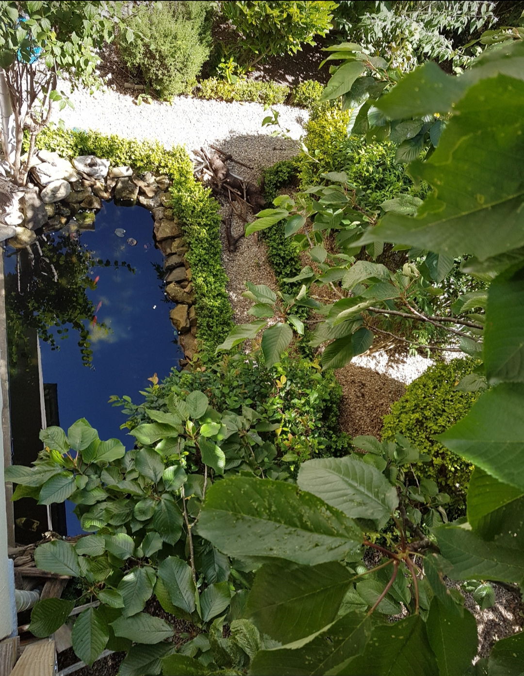 Homestay Vichy 240108