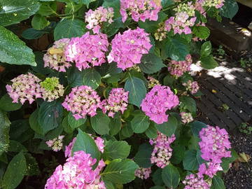 Chambre Chez L'habitant Vichy 240108-11