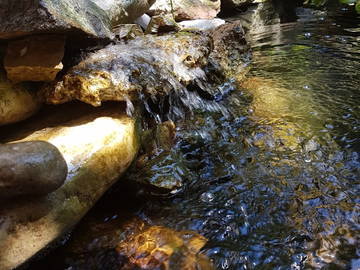 Homestay Vichy 240115-11