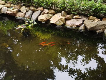 Homestay Vichy 242505-7