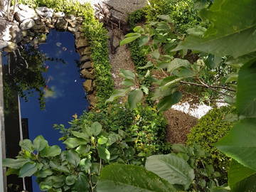 Chambre Chez L'habitant Vichy 242506-11