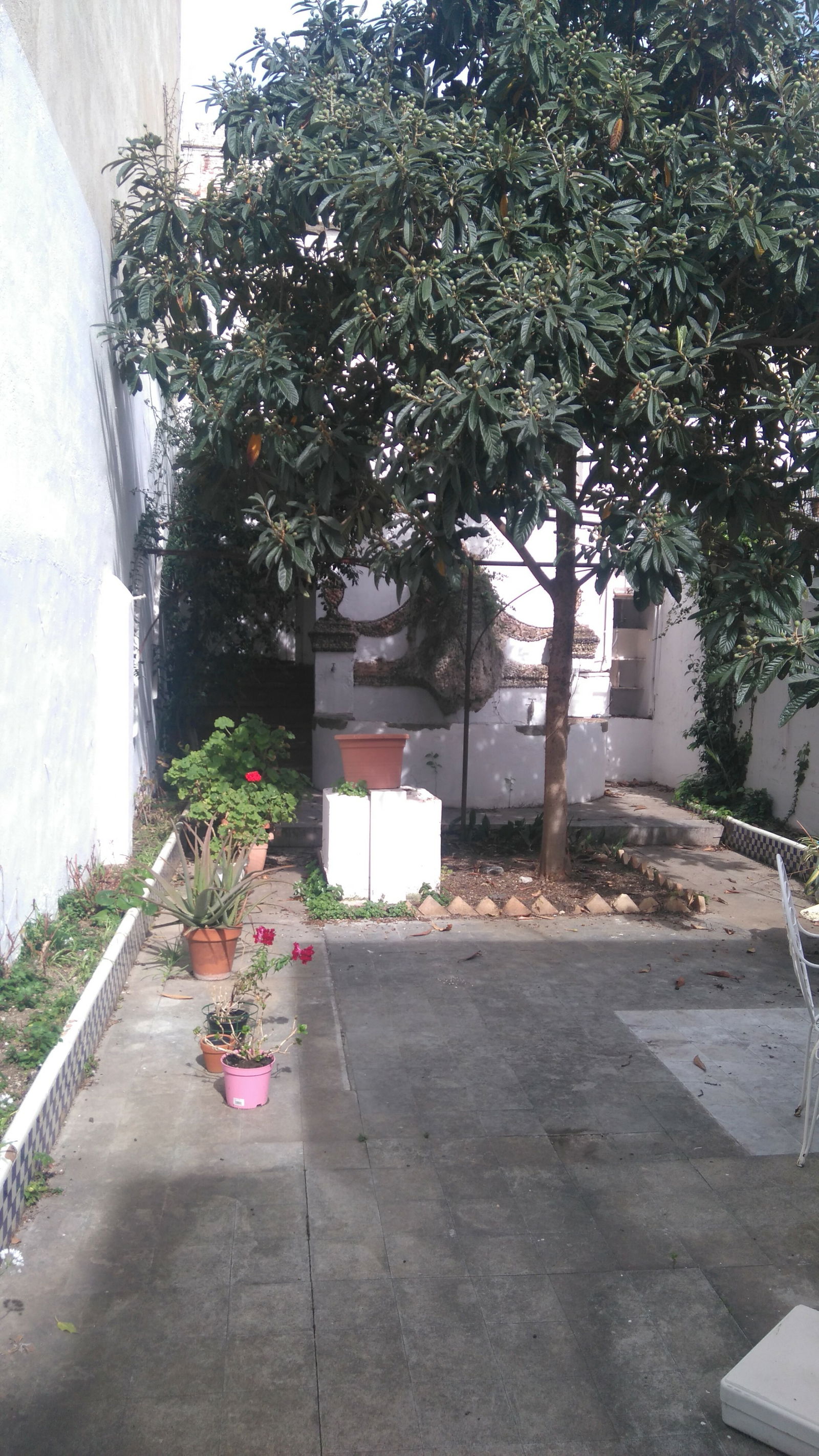 Homestay Vilassar de Mar 129875