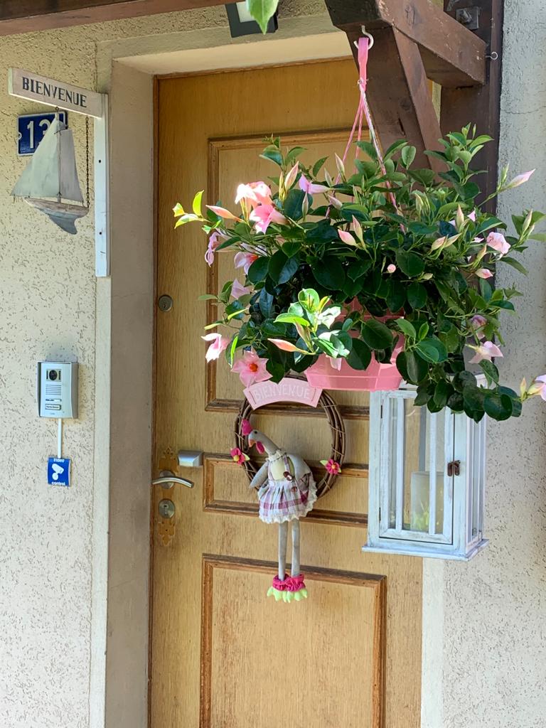 Homestay Genthod 264081