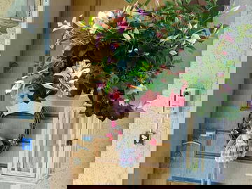 Chambre Chez L'habitant Genthod 264081-6