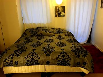 Roomlala | Room For Rent In Waterloo In Villa