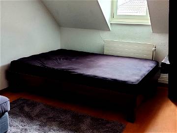 Roomlala | Room For Rent In Zurich