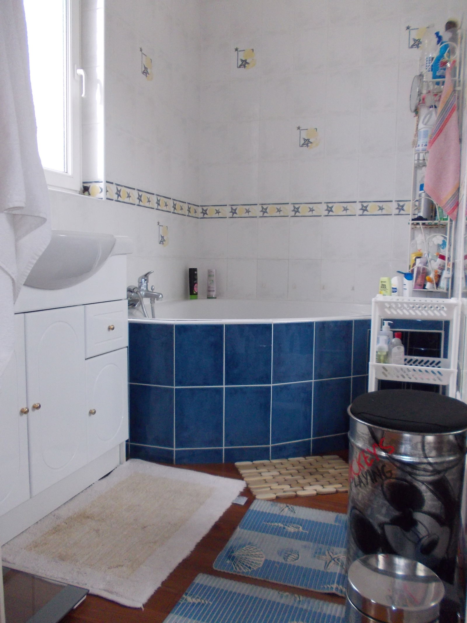 Homestay Le Mans 5137