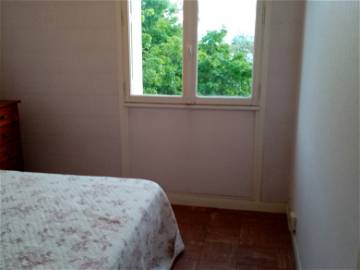 Chambre À Louer Lyon 248689