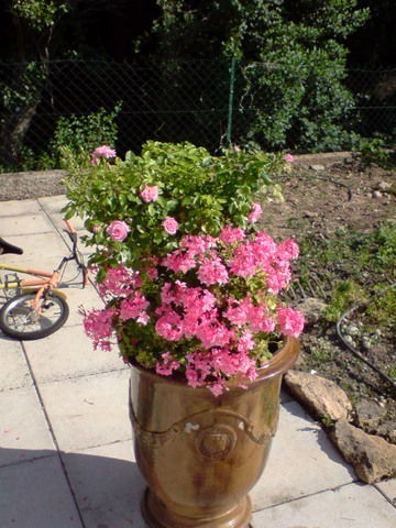 Bed And Breakfast Istres 38421