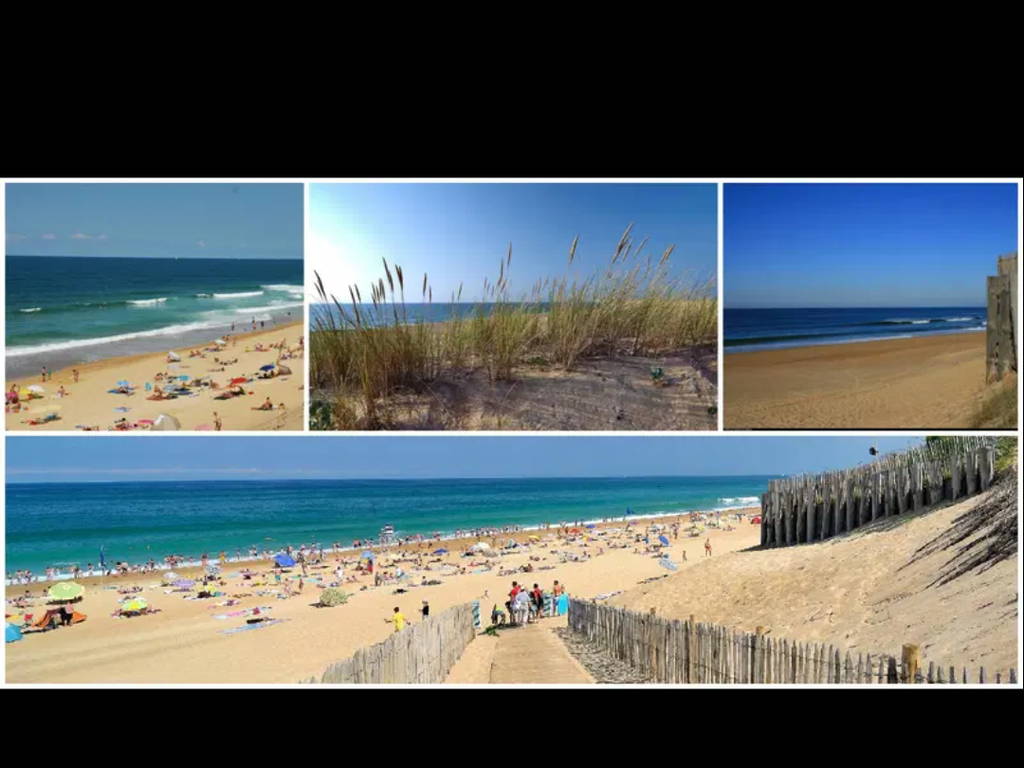 Colocation Labenne 663684-1