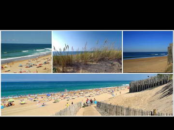 Shared Accommodation Labenne 663684-1