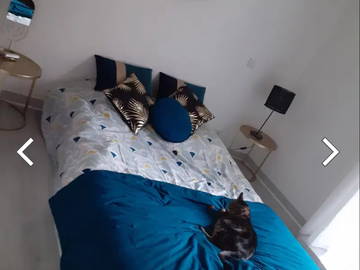 Shared Accommodation Labenne 663684-2