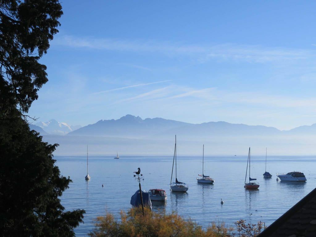 Colocation Morges 250873