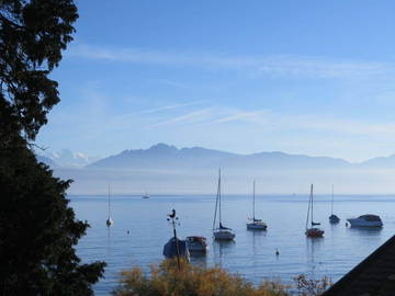 Chambre À Louer Morges 250873