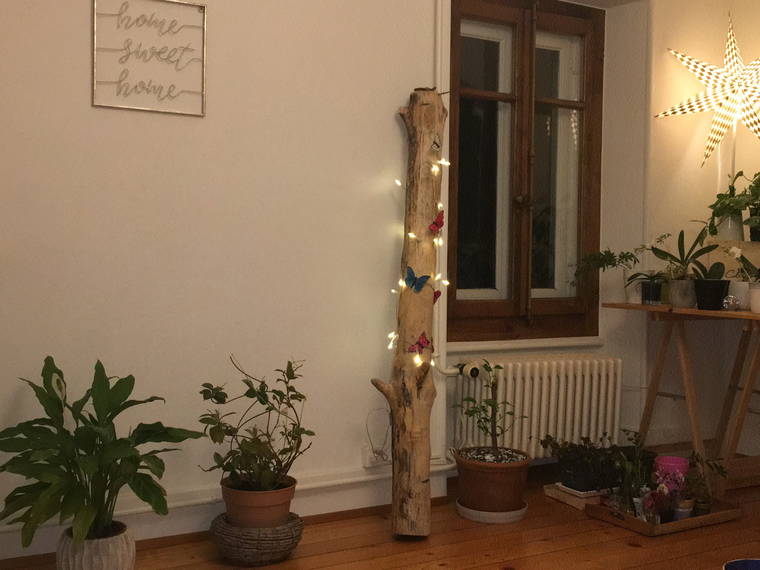 Homestay Morges 250873