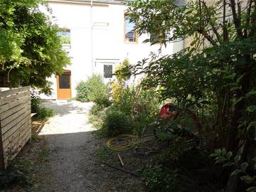 Chambre À Louer Ladoix-Serrigny 241933