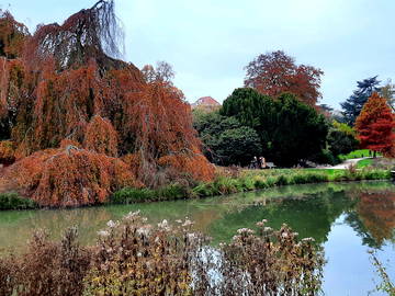 Chambre Chez L'habitant Roubaix 193324-11
