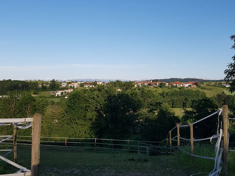 Homestay Lully 224370-3