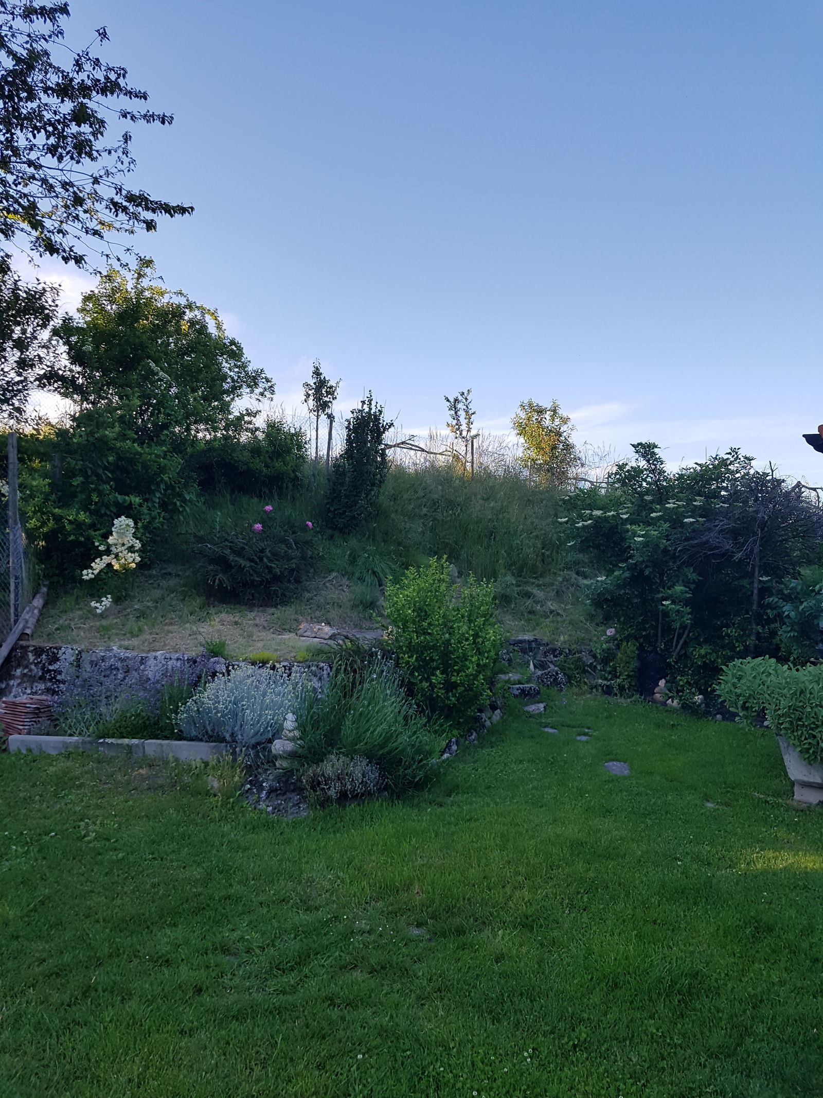 Homestay Lully 224370