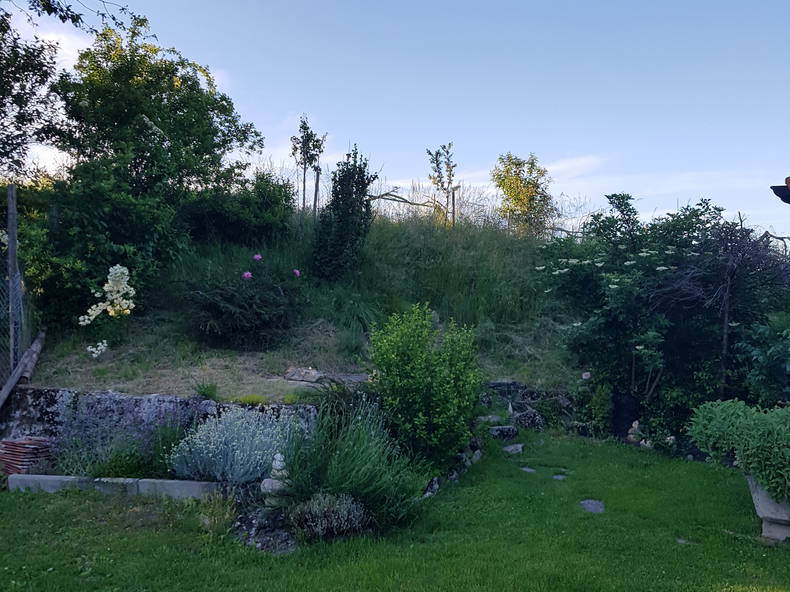 Homestay Lully 224370-4