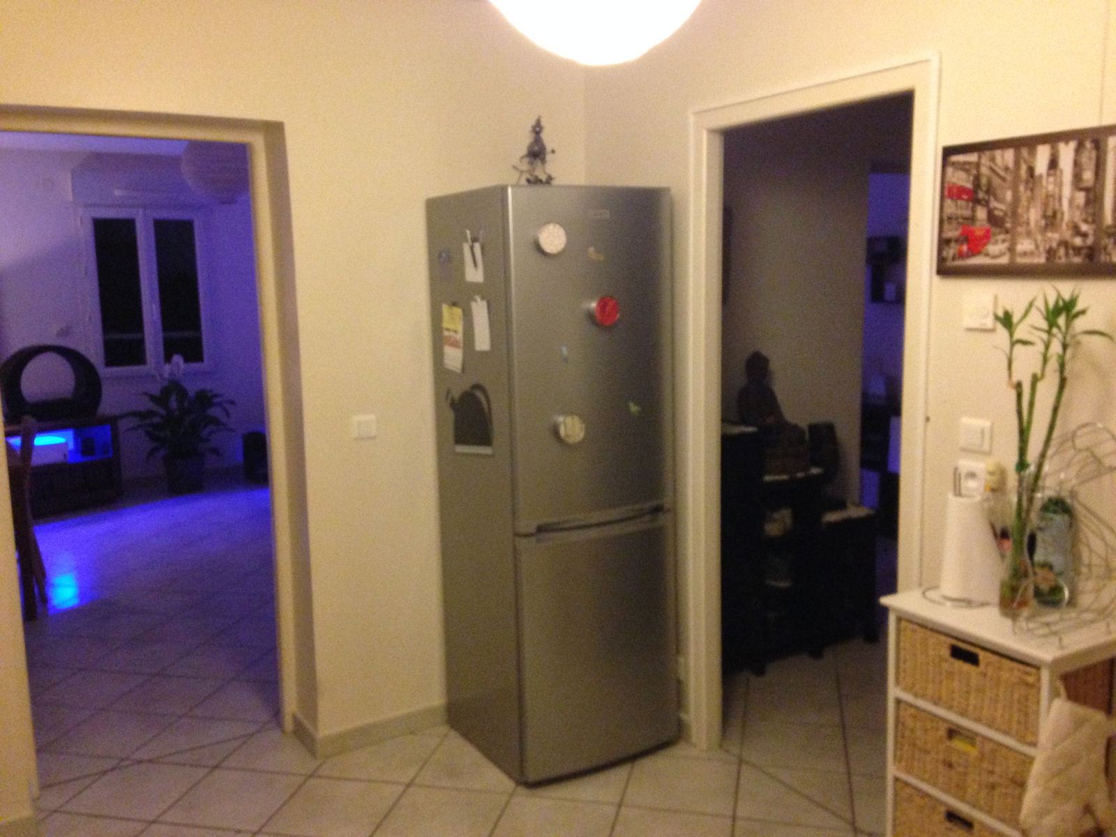 Homestay Ferney-Voltaire 54896