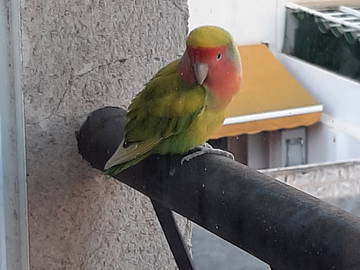 Chambre Chez L'habitant La Unión 257410-10