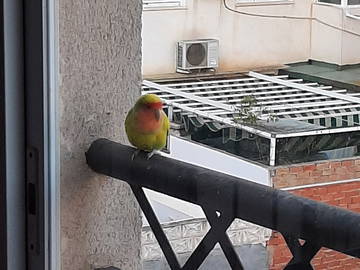 Chambre Chez L'habitant La Unión 257410-11