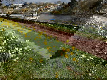 Homestay Nantes 266328-5